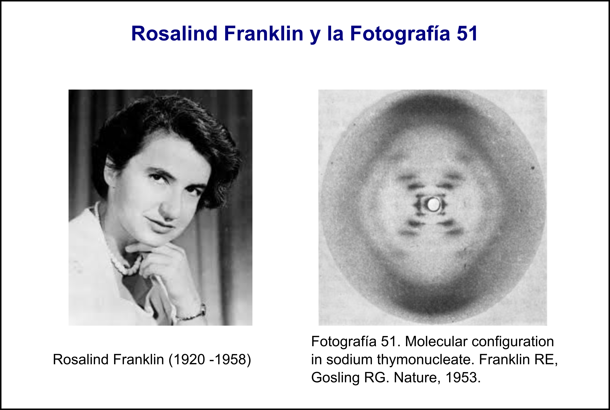 rosalind-franklin-la-historia-de-la-fotograf-a-que-cambi-la-biolog-a